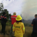 Incendios forestales: Más de dos mil brigadistas de Conaf trabajan entre Valparaíso y el Maule