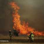 Onemi declara Alerta Roja por incendio forestal en la comuna de Lumaco
